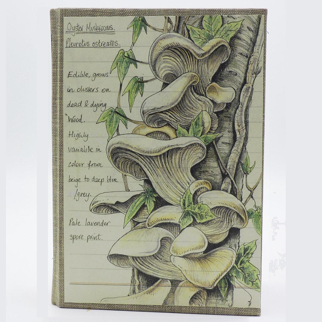 Hand made junk journals by Kelly Bees place